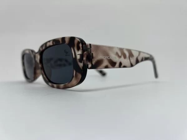 oculos old school zebra