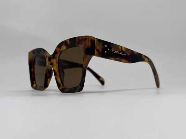 oculos tiger